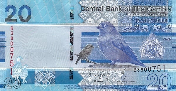 20 dalasis