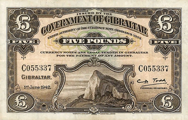 5 pound