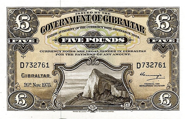 5 pound