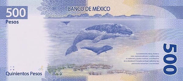 500 pesos
