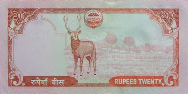 20 Rupees