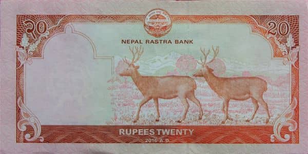 20 Rupees