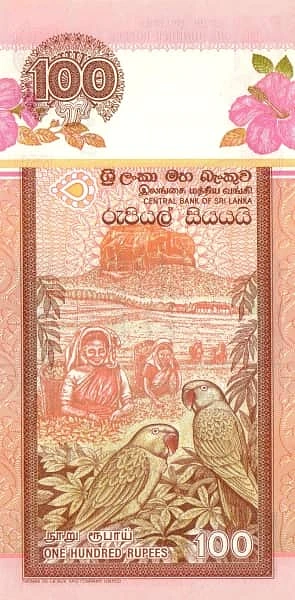 100 Rupees