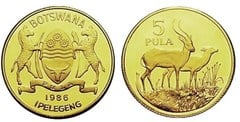 5 pula (Fauna)