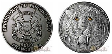 5000 francs CFA ( Smilodon)