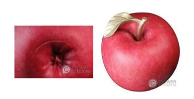 100 francs CFA (Manzana)