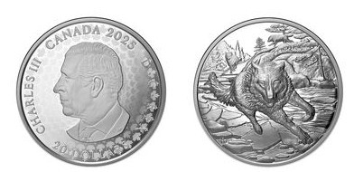 20 dollars (Lobo Gris)