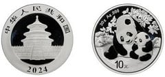 10 yuan (Panda)