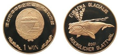 1 won (Ballena franca del Atlántico Norte)