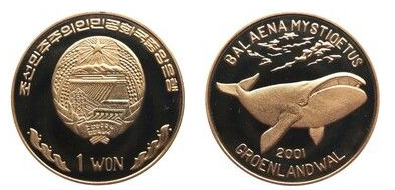 1 won (Ballena boreal)