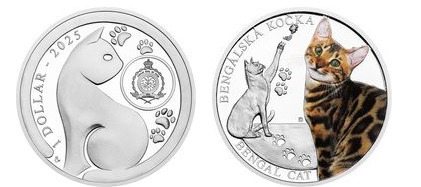 1 dollar (Gato de Bengala)