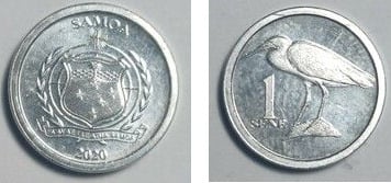 1 sene (Garza real del Pacífico)