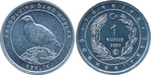 1 kuruş (Perdiz chucar)