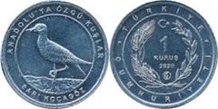 1 kuruş (Alcaraván euroasiático)