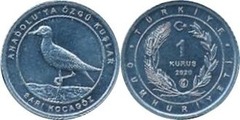 1 kuruş (Alcaraván euroasiático)