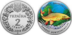 2 hryvni (Barbo del Dnieper - Barbus borysthenicus)