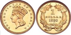 1 dollar (Indian Head)