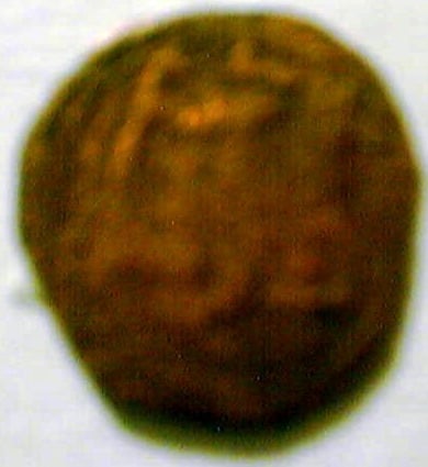 Foto 2 Moneda sin identificar: HISPANO MUSULMANA?