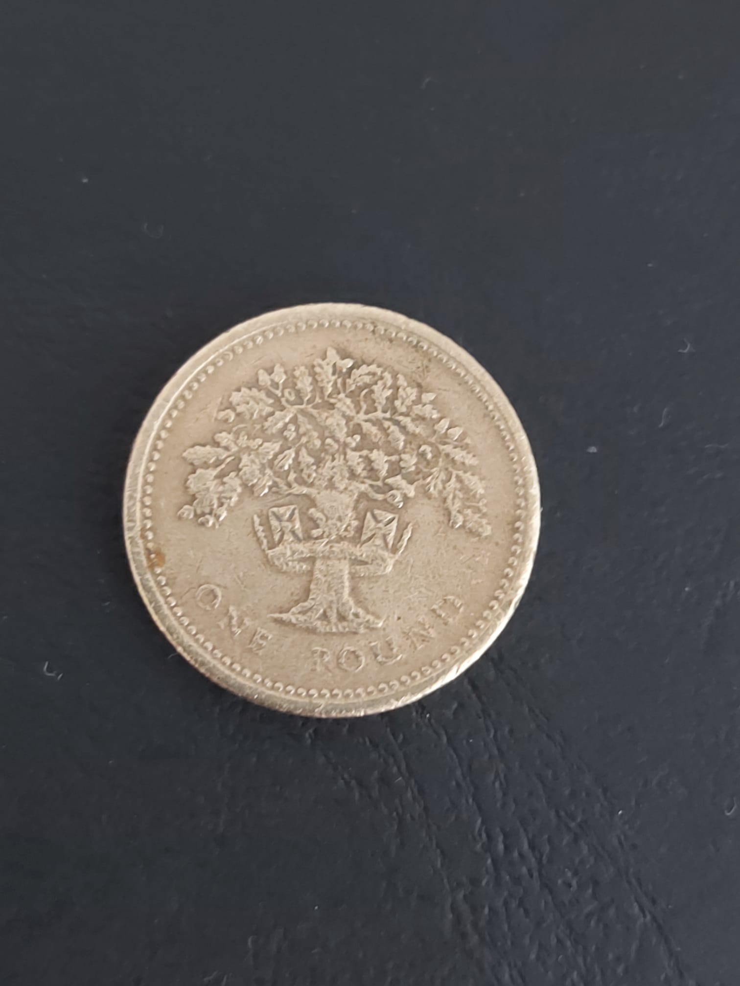 Foto 1 Moneda sin identificar: 1 pound (Elizabeth II) 1993 Árbol de Roble