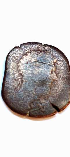 Foto 1 Moneda sin identificar: Me podrían ayudar a identificar está moneda