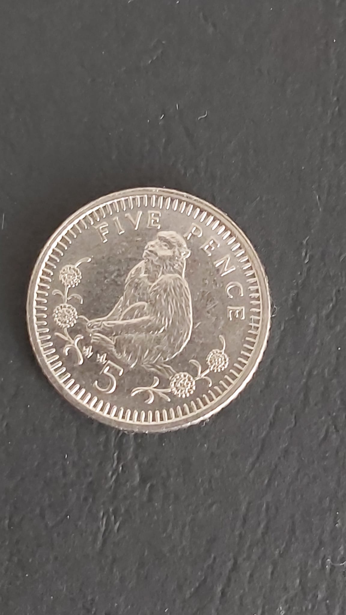 Foto 2 Moneda sin identificar: Monedas de 5 y 10 pence de Gibraltar