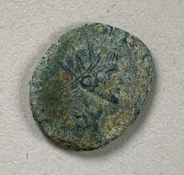 Foto 1 Moneda sin identificar: Romana para clasificar